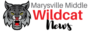 Summer Newsletter: Important Dates and Back to School Details