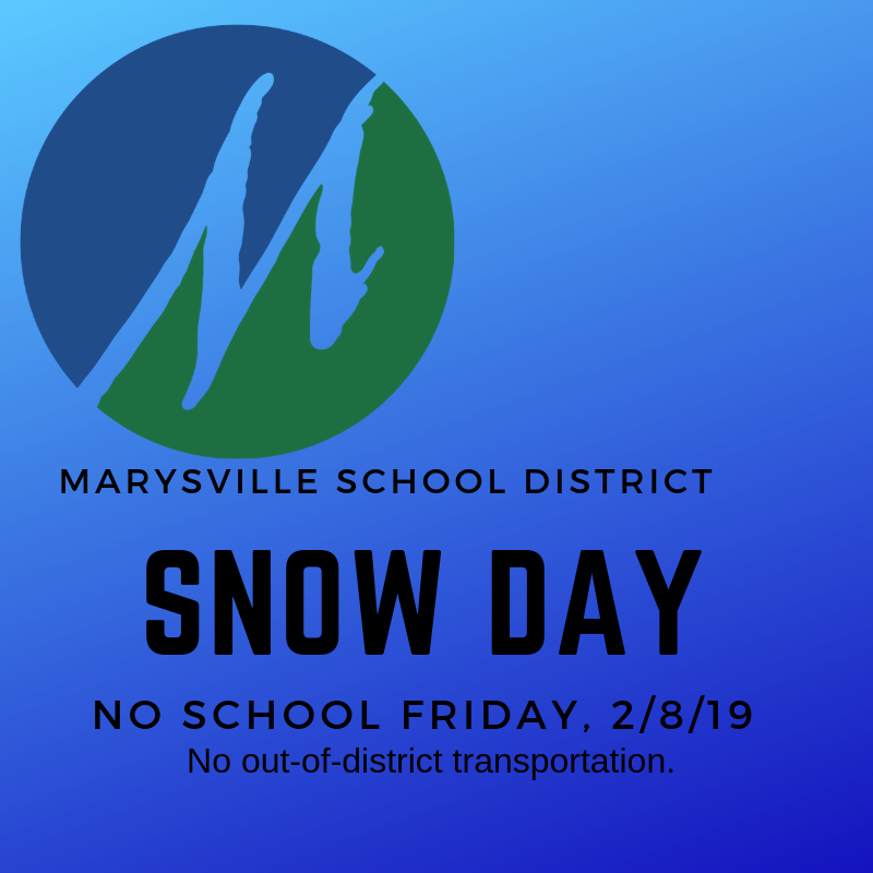 SNOW DAY - NO SCHOOL