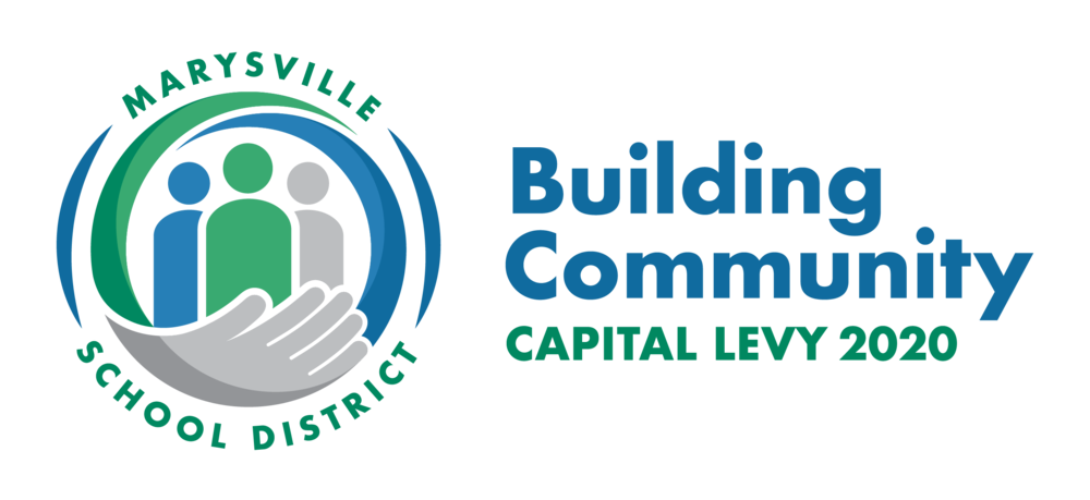 Capital Levy 2020