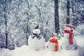 Sunday Evening Report: Snow in the Forecast