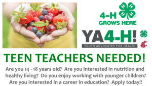 4H Youth Advocates for Health Teen Volunteer Opportunity