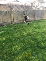 3rd Grade Learning From Home