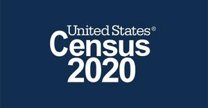 2020 Census, Respond Online
