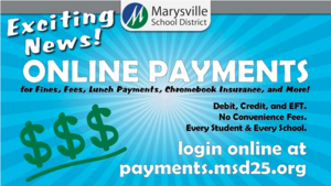 Online Payments