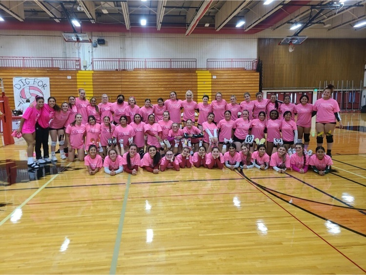 volleyball pink out
