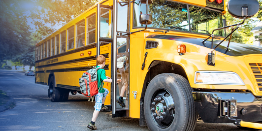 School bus routes